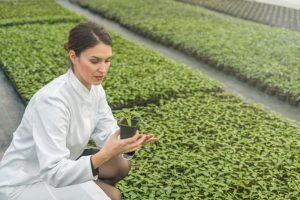 Look After Your Seedlings