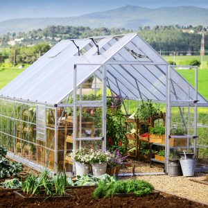 Palram-Canopia 10x16 Balance Greenhouse (Extended Silver)