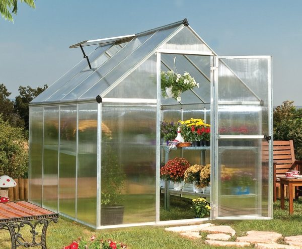 Palram-Canopia Mythos 6x8 Silver Polycarbonate Greenhouse