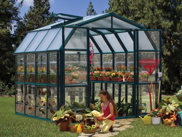 Palram-Canopia Rion Grand 8X8 Greenhouse