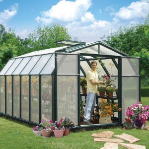 Palram-Canopia Rion Hobby 8X12 Greenhouse