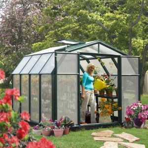 Palram-Canopia Rion Hobby 8X8 Greenhouse