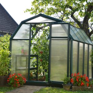 Rion Eco 6x8 Greenhouse