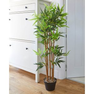 Bamboo Potted Plant