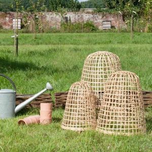 Bamboo cloche