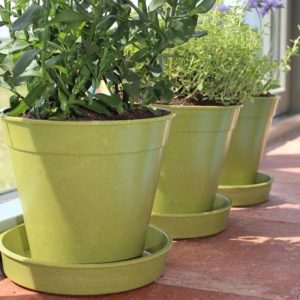 Bamboo pots set of 5 - sage