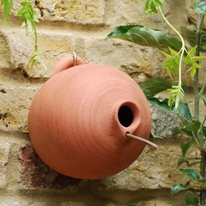 Blue tit terracotta bird pot