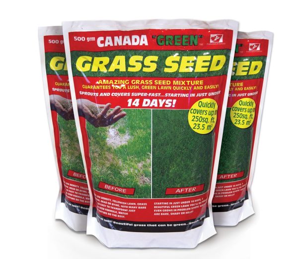 CANADA GREEN Grass Seed 500g