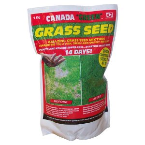 Canada Grass Seed 1KG pk