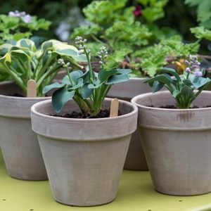 Classic grey Italian terracotta pot