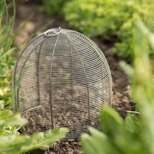 Coiled wire cloche