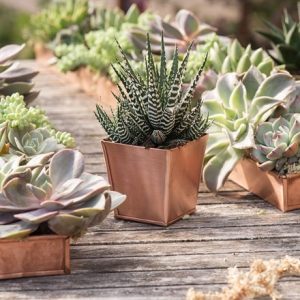 Copper pots - set of 6