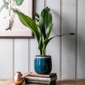 Crackle glaze plant pot - teal