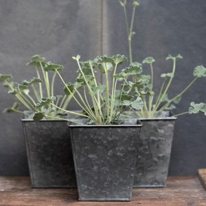 Dark galvanised square pot