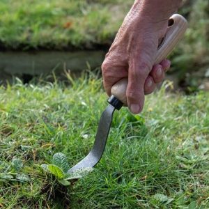 DeWit bio weeding fork