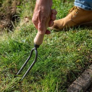 DeWit weeding fork 2 prong with ash grip