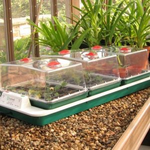 Electric propagator