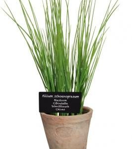 Fallen Fruits Artificial Chives In Terracotta Pot (Size L)