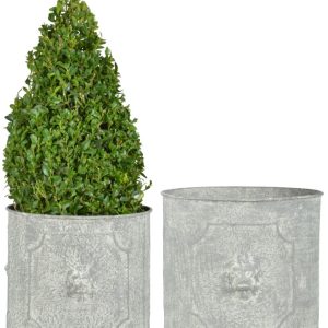 Fallen Fruits Round Lion Head Planters (Set of 2)