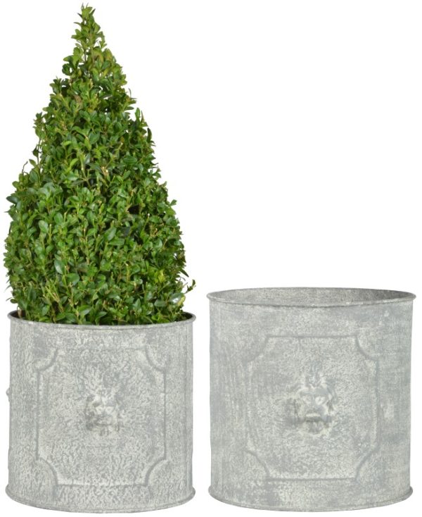 Fallen Fruits Round Lion Head Planters (Set of 2)