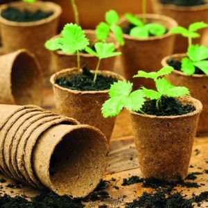 Fibre root pots round - Ø6cm