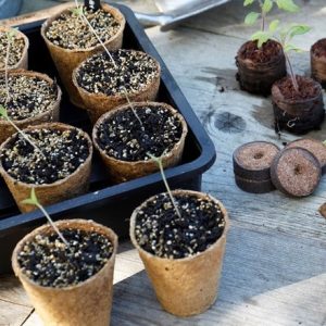 Fibre root pots round - pack of 12