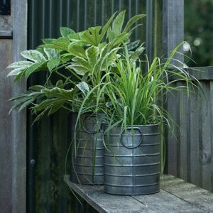 Galvanised cylinder pot