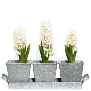 Galvanised pots - set of 3 with tray