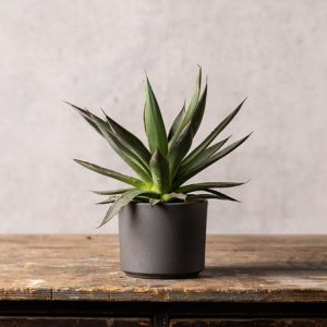 Granite style plant pot - dark grey