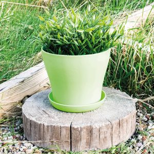 Green Plastic Plant Pot 10.5X9Cm