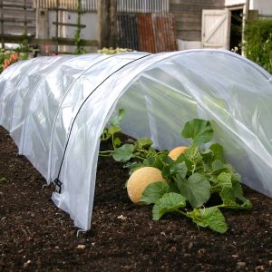 Haxnicks Giant Easy Poly Tunnel