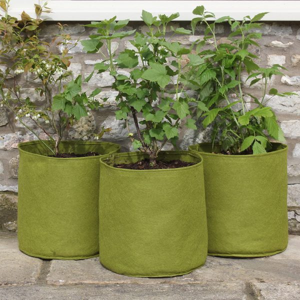 Haxnicks Vigoroot Pots 20L(3 Pack)