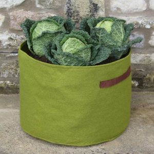 Haxnicks Vigoroot Vegetable Planter