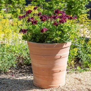 Heraklion terracotta pot