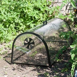 Kitchen garden cloche