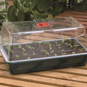 Large high dome propagator