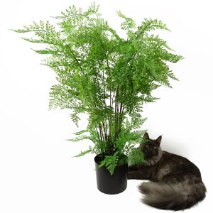 Leaf Design 100cm Artificial Maidenhair Fern Plant