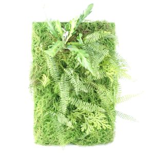 Leaf Design 60cm Artificial Green Wall Fern