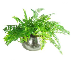 Leaf Design Large Artificial Ferns Display with XL Metal Silver Bowl Planter 50x65cm