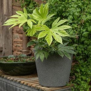 Lightweight tapered pot - grey