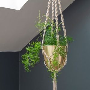 Macrame hanger with brushed brass pot