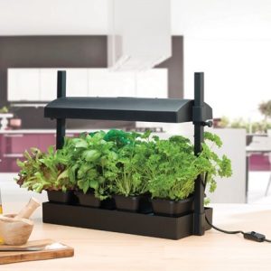 Micro grow light garden black