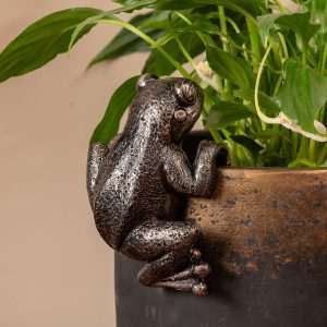 Pot Buddies - Frog