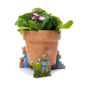 Pot Buddies Peter Rabbit Garden Set