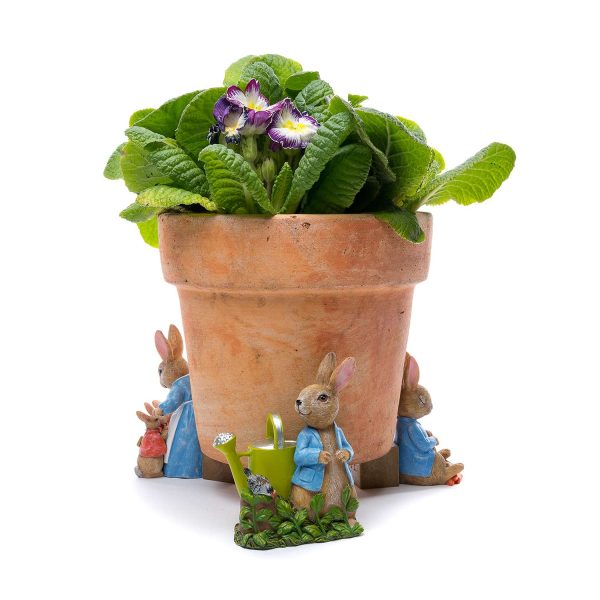 Pot Buddies Peter Rabbit Garden Set