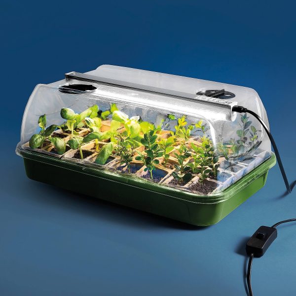 Propagator With Lights 40 Cell LED L39 xW25.5 xH17.5cm