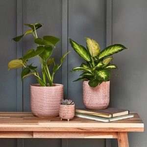 Reactive glaze plant pot - pink