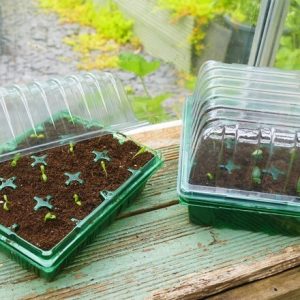 Recycled transparent propagators - set of 2