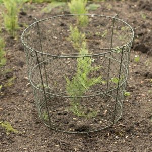 Reversible plant boma cloche / support - Crocus green