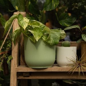 Round ribbed plant pot - mint